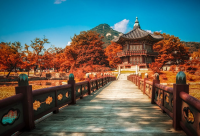 第一部十月韩国之旅-独特的秋日体验