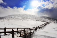 探索韩国冬天的汉拿山景点-龙珠体育