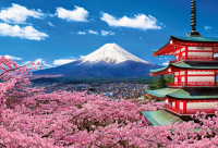 探寻日本之美-最佳季节、美食之旅与独特体验