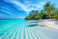 发现加勒比的瑰宝-多米尼加海滩全方位探索-多米尼加旅游