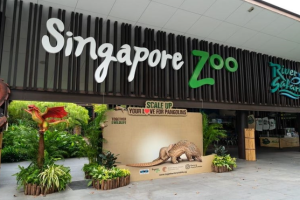 探秘新加坡动物园-与自然界的精灵亲近