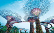 旅游资讯网-夏日新加坡旅游：探访市中心4处绿洲