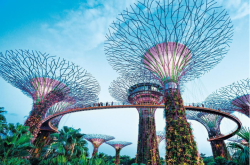 旅游资讯网-夏日新加坡旅游：探访市中心4处绿洲